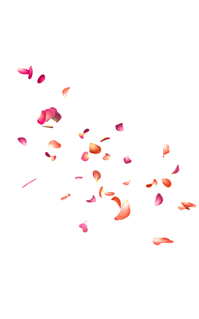Petalas.png